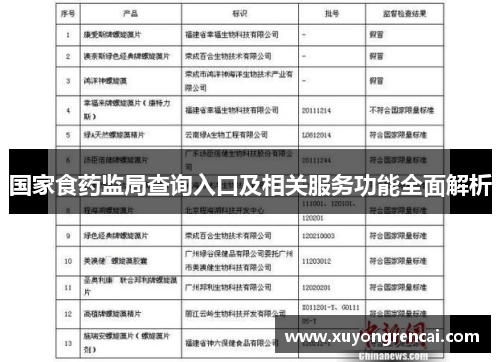 国家食药监局查询入口及相关服务功能全面解析